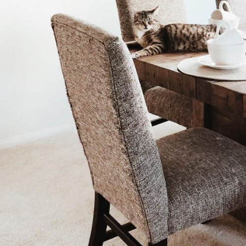 Dining Chairs